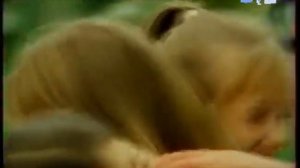 Реклама 1+1 . 2001