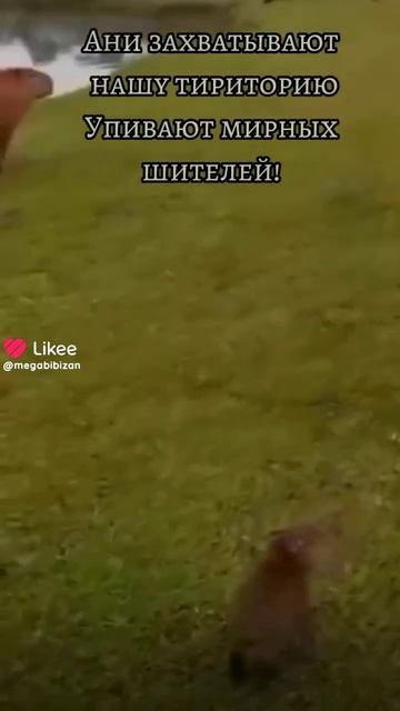 28 декабря 2023 г. смотреть онлайн