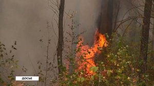 "Будни" (новости, 11.04.25г., Бийское телевидение)