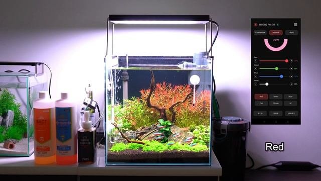 Chihiros LED照明 WRGB 2 PRO 30　テスト