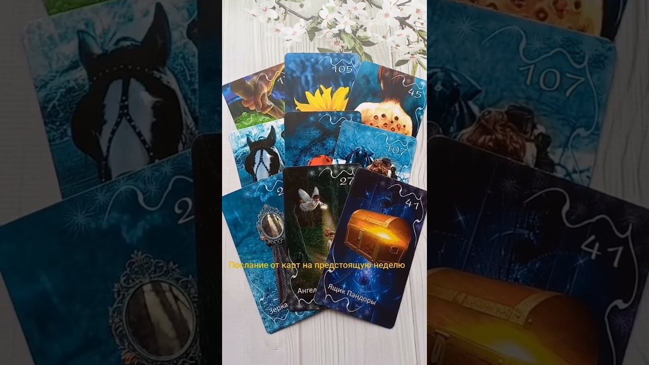 #таро#tarotcard#tarotreading#spirituality#таролог#witch #meditation#магия#магиятаро#