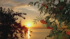 Анатолий Кашка - Плакала рябина