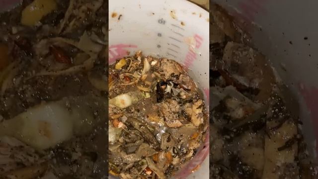 Как я делаю барматуху Дзамболата Кундухова для улучшения плодородия почвы.