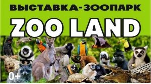 Контактный зоопарк Zooland обзор выставки Омск Торговый центр Festival City