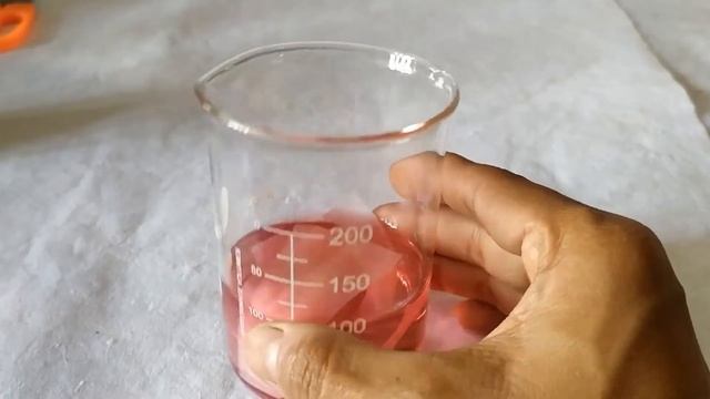 Cobalt Chloride Experiment to demonstrate Transpiration