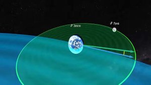 ziyozukko.uz      ой тутилиши