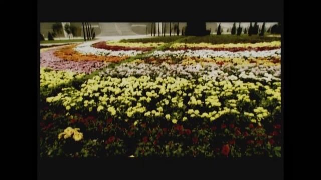 BAKU(Azerbaijan) 2012