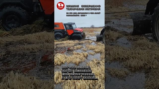 ЭТО ПРОСТО ЛЮТАЯ ЖЕСТЬ