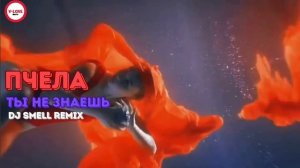 Пчела-Ты не знаешь
(DJ Smell remix)