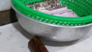 Вьетнамская еда - Гигантский Мурена Угорь Муйне морепродукты Вьетнам