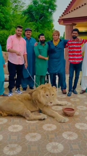 in some guar mode with friends смотреть онлайн