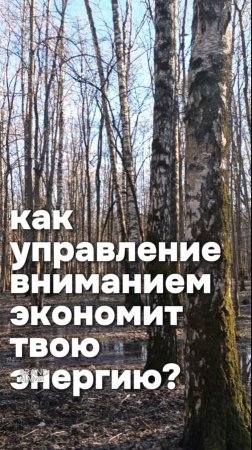Как управление своим вниманием экономит твою энергию?