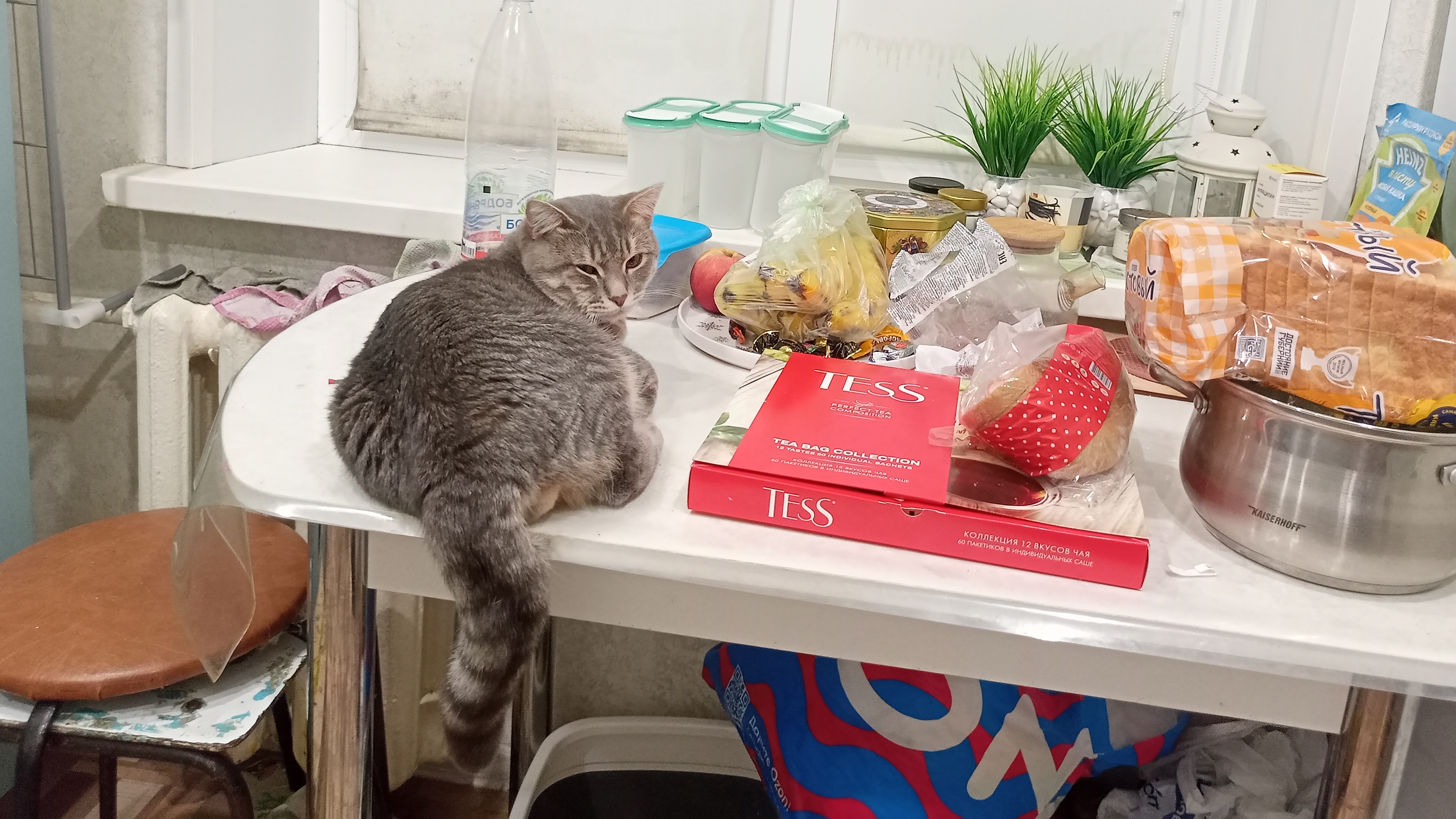 хорошо в деревне, жизнь в деревне