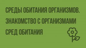 Среды обитания организмов. Знакомство с организмами сред обитания. Видеоурок по природоведению