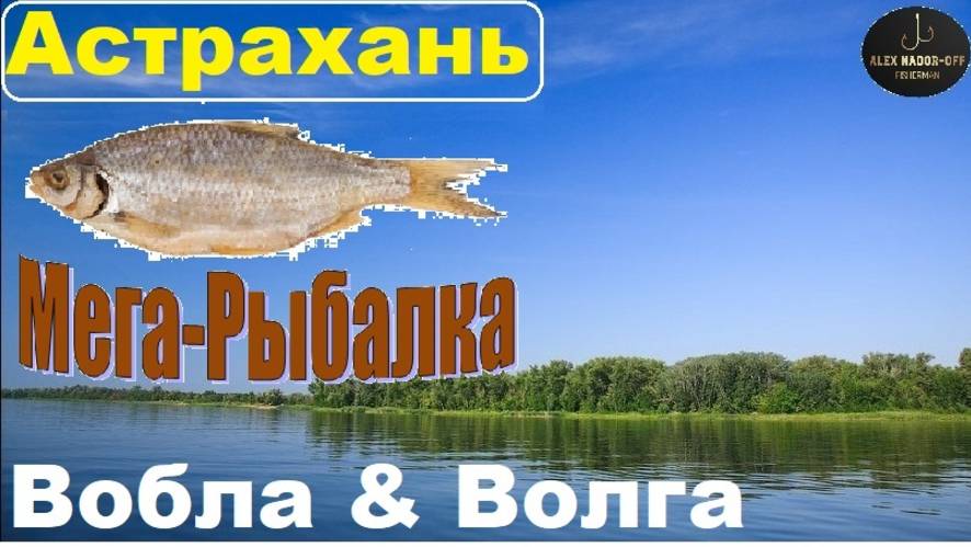🌟Вобла прёт!!!🔥На Волге просто Адский АД !! Апрель! Бешенный КЛЁВ !! Диалоги о рыбалке