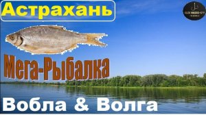 🌟Вобла прёт!!!🔥На Волге просто Адский АД !! Апрель! Бешенный КЛЁВ !! Диалоги о рыбалке