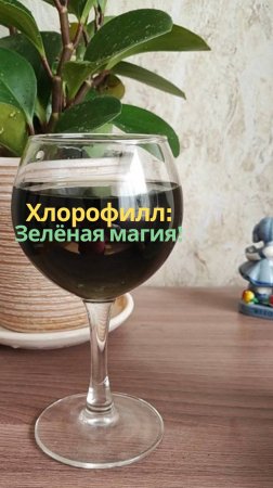 Почему Хлорофилл Важен?