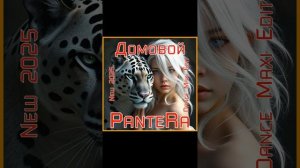 PanteRa - Домовой 2025 (Dance Maxi Edit)