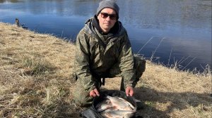 ТАСКАЕМ СЫРТЬ ОДНУ ЗА ОДНОЙ. СУПЕР КЛЕВ СЫРТИ НА РЕКЕ ЛУГА. ВЕСЕННИЙ ФИДЕР 2022