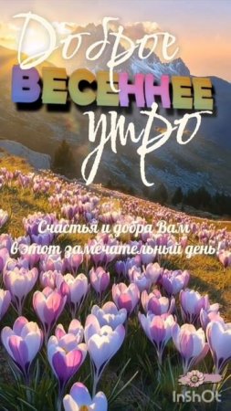 11-04-2025 Доброе утро!