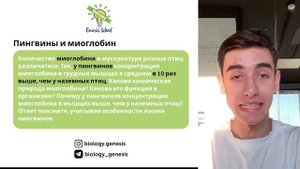 МИОГЛОБИН ДЛЯ ЕГЭ ПО БИОЛОГИИ