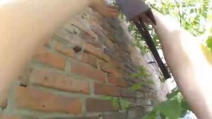 ТОП 5 БЕШЕНЫХ ПОБЕГОВ \ ОТ ОХРАНЫ И ПОЛИЦИИ