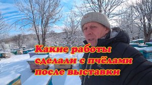 ПРОДЕЛАННЫЕ РАБОТЫ НА НАШЕЙ ПАСЕКЕ ПОСЛЕ ВЫСТАВКИ ПЧЕЛОСЕМЕЙ, СИЛА ПЧЕЛОСЕМЕЙ.