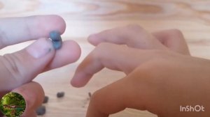 горгозавр из пластилина  dinosaurs Gorgosaurus