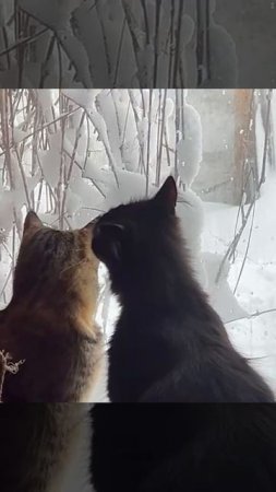 Дома лучше, чем на улице