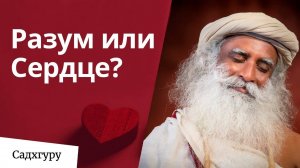 Разум или сердце — что слушать