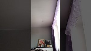 ем кучу фастфуда