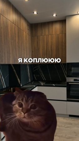Мы купим новую кухню, если ты тоже будешь копить