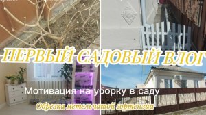 ПЕРВЫЙ САДОВЫЙ ВЛОГ🤗🏡МОТИВАЦИЯ НА УБОРКУ В САДУ 🌳ОБРЕЗКА МЕТЕЛЬЧАТОЙ ГОРТЕНЗИИ🌸ПОКРАСКА БОРДЮРА