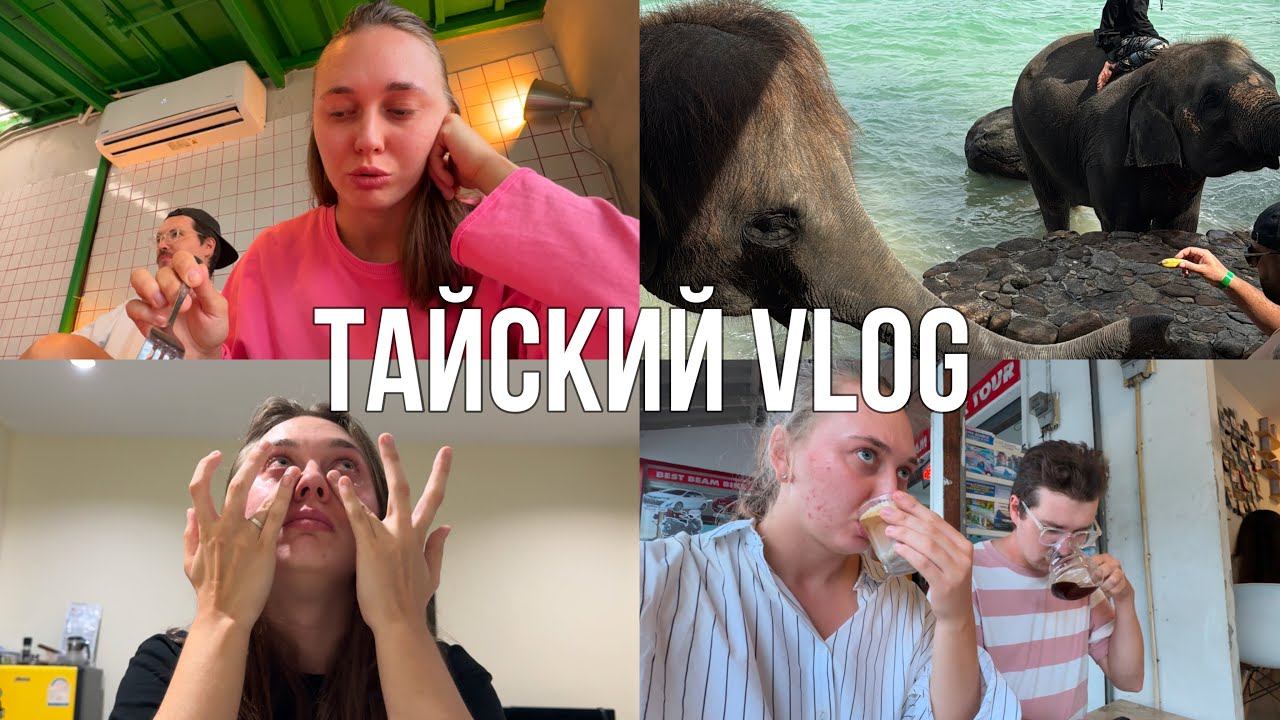 Кофейня со слонами, снимаем квартиру, честно о жизни в Таиланде | Влог о жизни на Пхукете