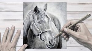 Реалистичная ЧЕРНО-БЕЛАЯ ЛОШАДЬ ✏️🐎 Пошаговое рисование карандашом под расслабляющую музыку 🎵🧘