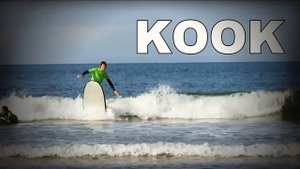 Oxelo Carve 540 Bird Longboard - SURFSKATE & SURFING // monatge Decathlon’s Budget board