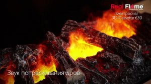 Обзор парового очага RealFlame Cassette 630 3D