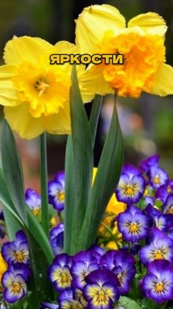 Ч.3🌺✨Никогда Не Делайте Цветник без Этого!