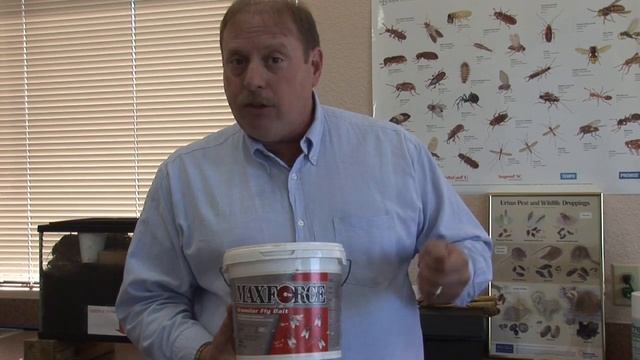 Pest Control : How to Get Rid of Maggots смотреть онлайн