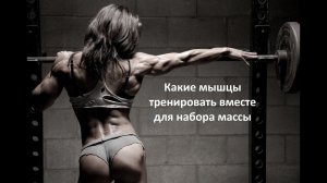 Какие мышцы тренировать вместе для набора массы