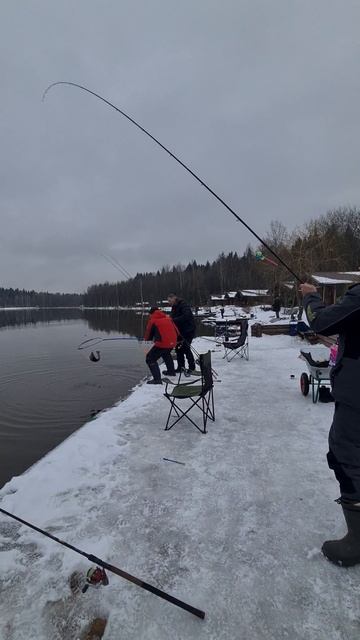 Поимка до запуска смотреть онлайн