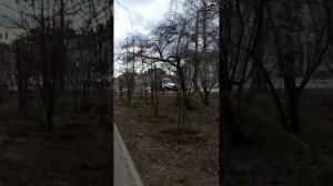казанский двор
