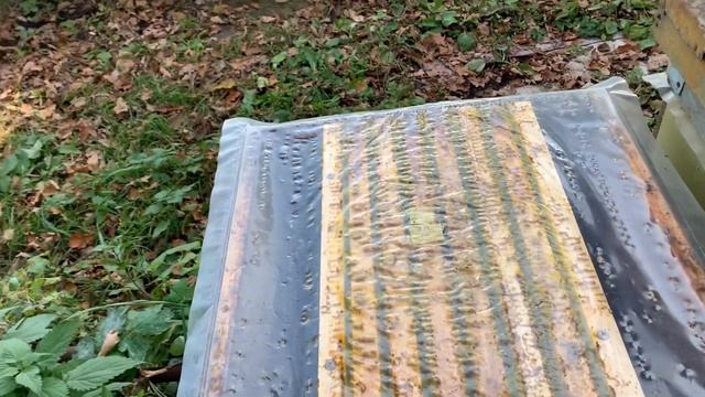 Обработка флувалинатом смотреть онлайн