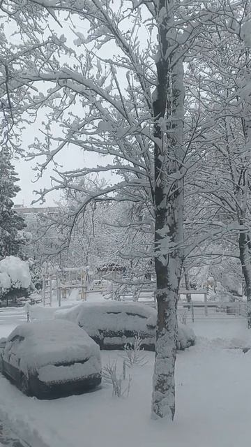 Солнечный Краснодар🥰