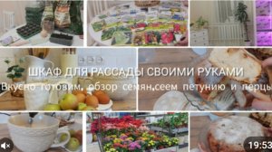 ДОМАШНЕЕ ВИДЕО 💛ШКАФ ДЛЯ РАССАДЫ СВОИМИ РУКАМИ🌱ПРОСТОЙ РЕЦЕПТ ШАРЛОТКИ НА ИДЕАЛЬНОМ БИСКВИТЕ🍏ОБЗО