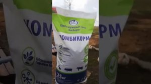 ЭкоКорм Комбикорм для Кур