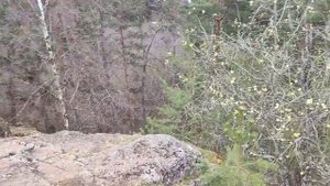 Урочище "Чертов стул" в Петрозаводске