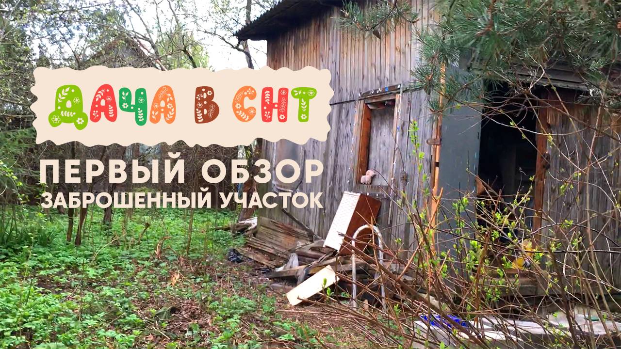 Дача в СНТ - первый обзор, старый заброшенный участок
