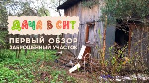 Дача в СНТ - первый обзор, старый заброшенный участок