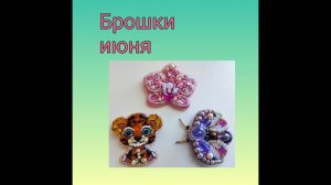 Брошки июня